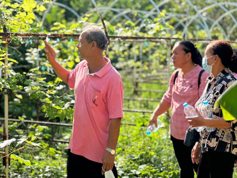 6. โครงการอบรมสร้างความมั่นคงด้านอาชีพและรายได้ ตามหลักปรัชญาของเศรษฐกิจพอเพียง