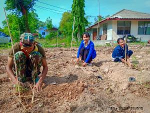 16. วันต้นไม้แห่งชาติ