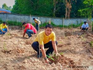 30. วันต้นไม้แห่งชาติ