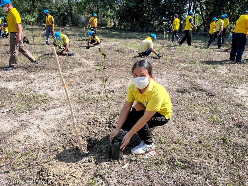 10. วันคล้ายวันพระราชสมภพ สมเด็จพระนางเจ้าสุทิดา พัชรสุธาพิมลลักษณ พระบรมราชินี