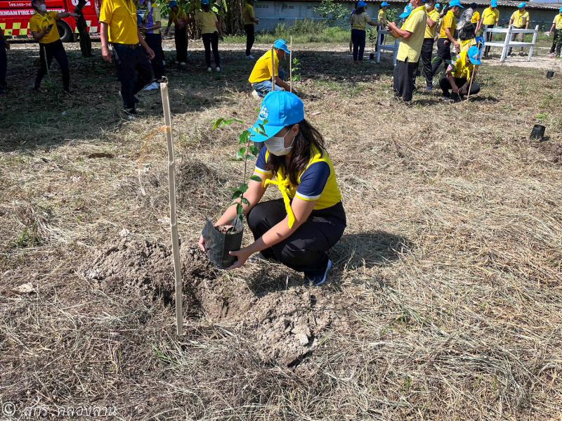 17. วันคล้ายวันพระราชสมภพ สมเด็จพระนางเจ้าสุทิดา พัชรสุธาพิมลลักษณ พระบรมราชินี