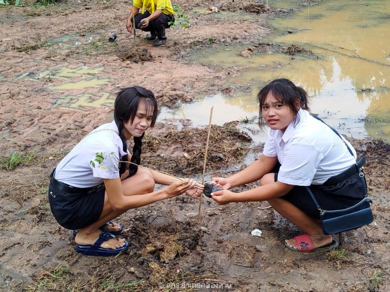 59. วันต้นไม้แห่งชาติ 2567