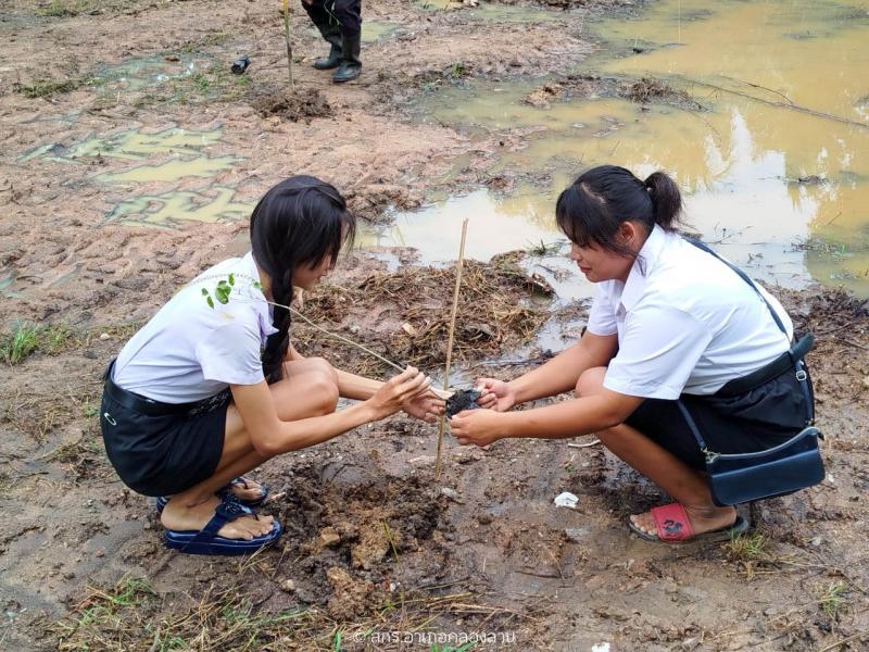 60. วันต้นไม้แห่งชาติ 2567