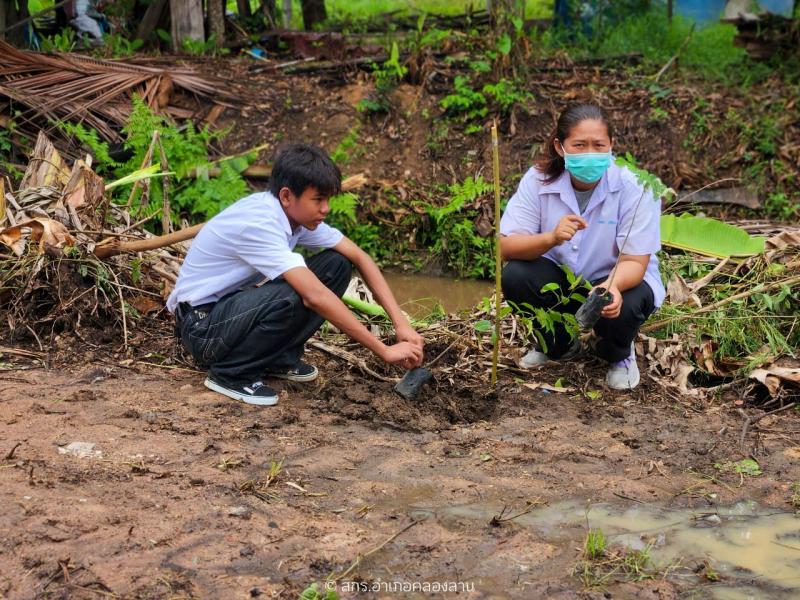 80. วันต้นไม้แห่งชาติ 2567