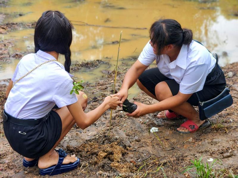 82. วันต้นไม้แห่งชาติ 2567