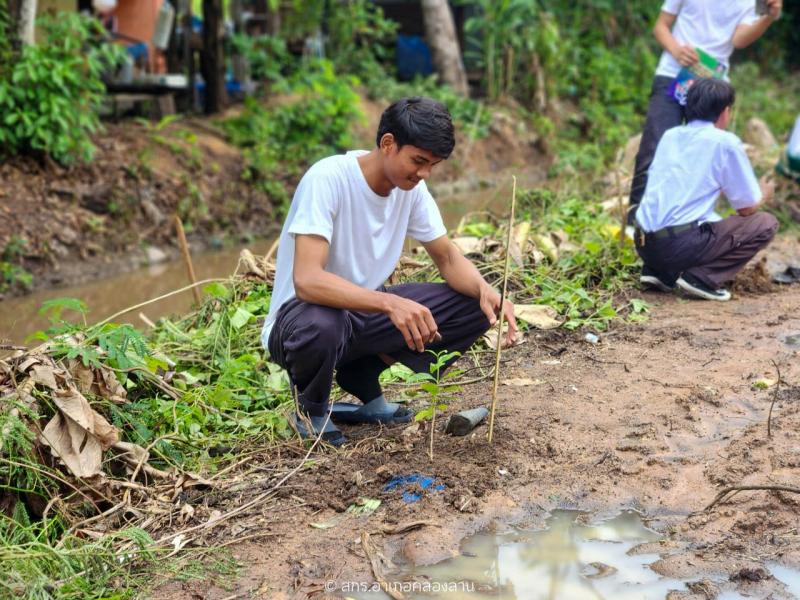 85. วันต้นไม้แห่งชาติ 2567