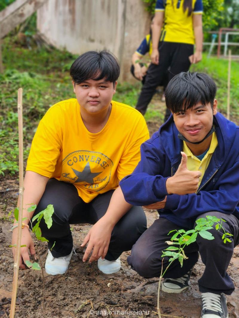 86. วันต้นไม้แห่งชาติ 2567