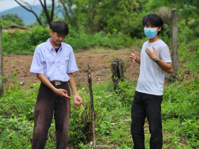 108. วันต้นไม้แห่งชาติ 2567