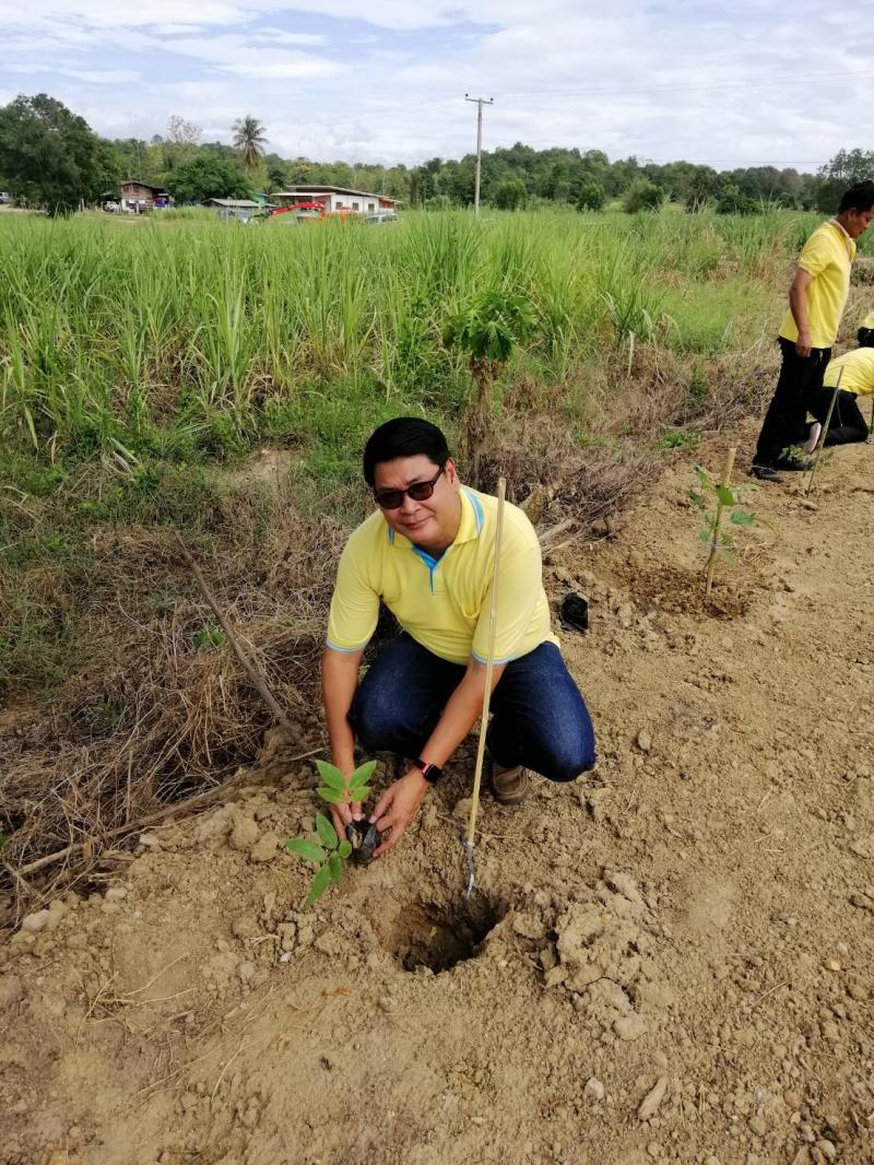 3. โครงการท้องถิ่นไทยรวมใจภักดิ์ รักพื้นที่สีเขียวและโครงการ ส่งเสริมการปลูกหญ้าแฝก