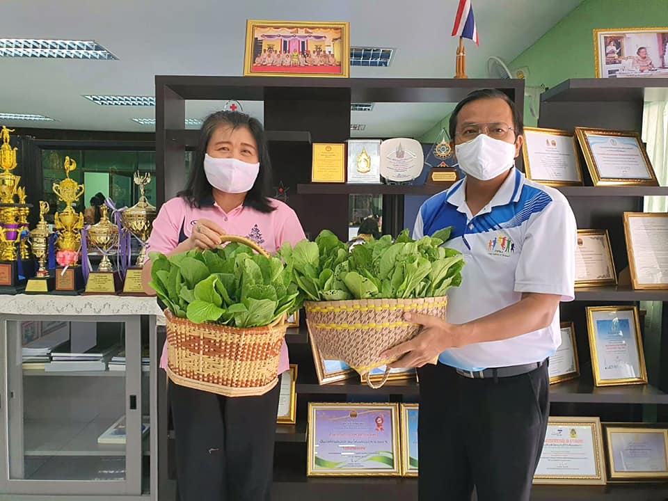 สำนักงาน กศน. จังหวัดกำแพงเพชรขับเคลื่อนแผนปฏิบัติการ 90 วัน ปลูกผักสวนครัว เพื่อสร้างความมั่นคงทางอาหารระดับจังหวัด