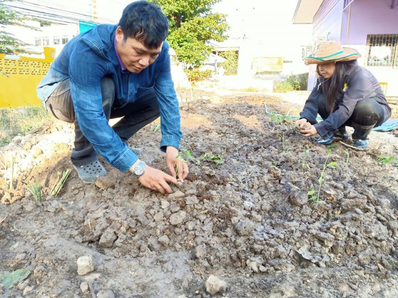 15. สำนักงาน กศน. จังหวัดกำแพงเพชรขับเคลื่อนแผนปฏิบัติการ 90 วัน ปลูกผักสวนครัว เพื่อสร้างความมั่นคงทางอาหารระดับจังหวัด