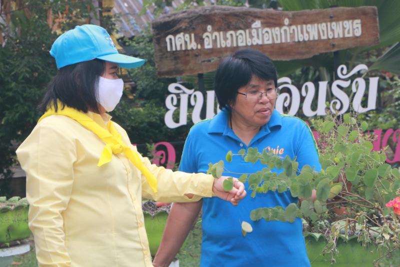 13. สำนักงาน กศน.จังหวัดกำแพงเพชร ลงนามถวายพระพรเนื่องในวันเฉลิมพระชนมพรรษา                  สมเด็จพระนางเจ้าสิริกิติ์ พระบรมราชินีนาถ พระบรมราชชนนีพันปีหลวง และร่วมกันทำกิจกรรมจิตอาสาพัฒนาปรับภูมิทัศน์ บริเวณสำนักงาน กศน.จังหวัด