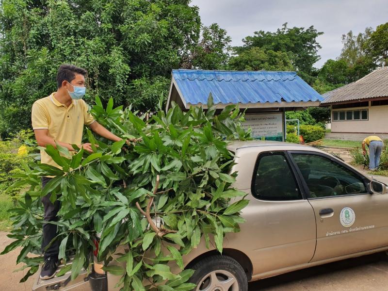 27. สำนักงาน กศน.จังหวัดกำแพงเพชร ลงนามถวายพระพรเนื่องในวันเฉลิมพระชนมพรรษา                  สมเด็จพระนางเจ้าสิริกิติ์ พระบรมราชินีนาถ พระบรมราชชนนีพันปีหลวง และร่วมกันทำกิจกรรมจิตอาสาพัฒนาปรับภูมิทัศน์ บริเวณสำนักงาน กศน.จังหวัด